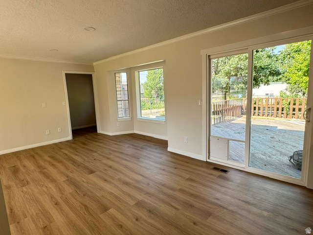 Thumbnail 19
