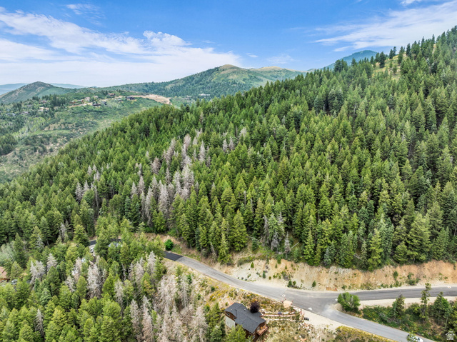 395 Matterhorn Dr #139, Park City, UT 84098, photo 8