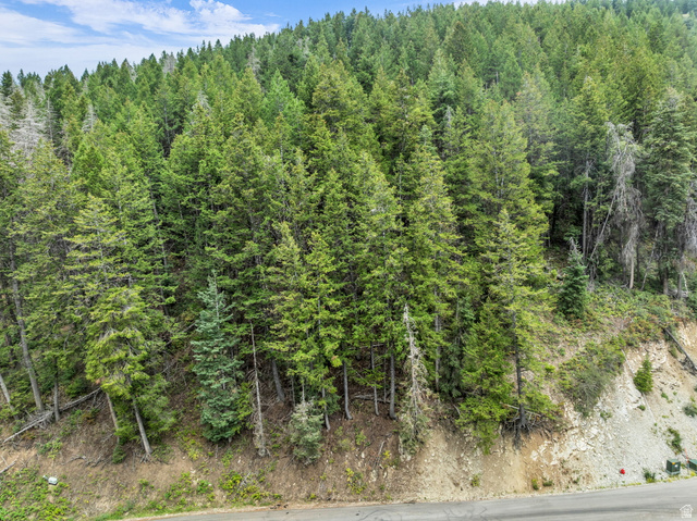 395 Matterhorn Dr #139, Park City, UT 84098, photo 3