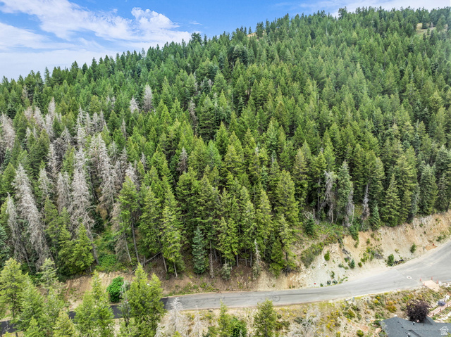 395 Matterhorn Dr #139, Park City, UT 84098, photo 6