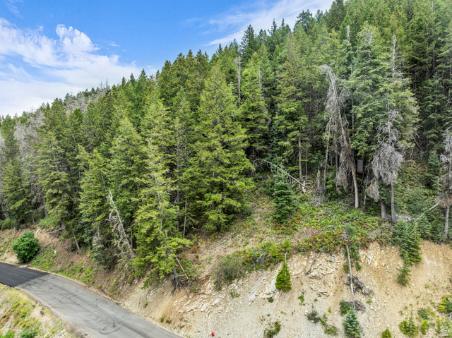395 Matterhorn Dr #139, Park City, UT 84098, photo 2