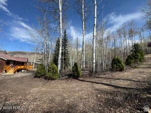 10737 E Tanglewood Dr #630
                     MLS #2183599