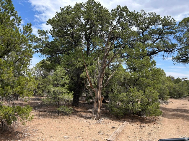 , Fruitland UT 84027
