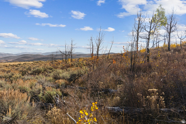 4939 Painted Valley Pass #6, Park City, UT 84098, photo 8