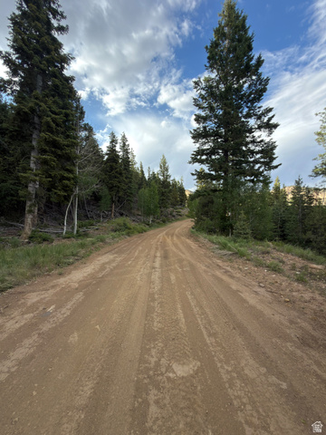 Bonnie Green Dr, Kanab, UT 84741, photo 12
