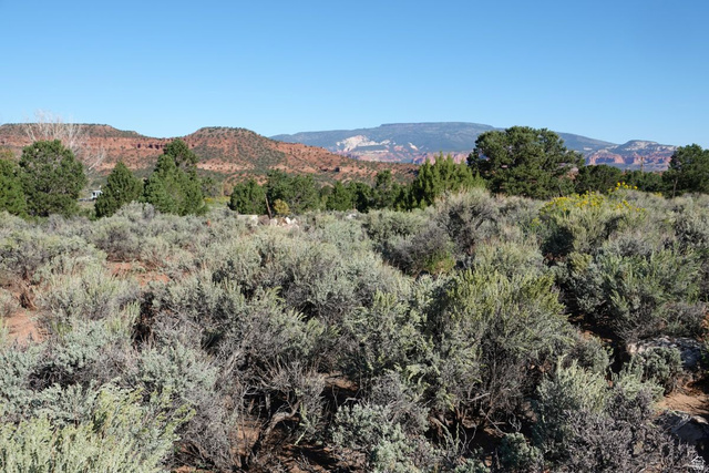 3600 S Teasdale Rd, Teasdale, UT 84773, photo 9