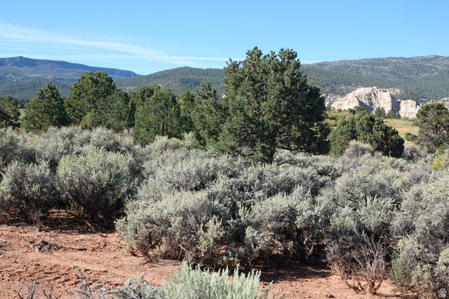 3600 S Teasdale Rd, Teasdale, UT 84773, photo 12