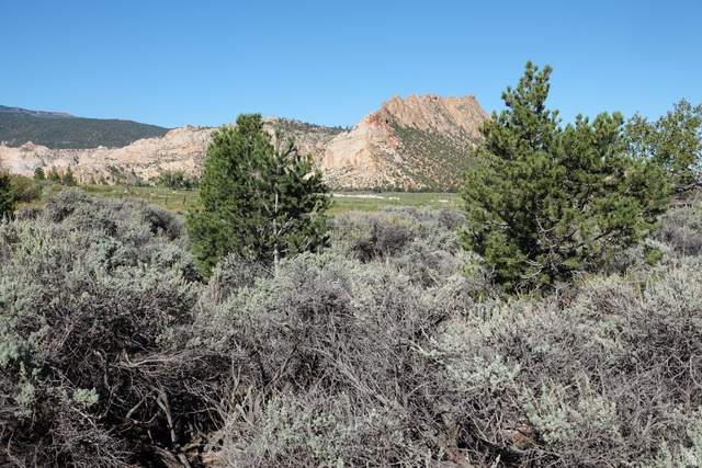 3600 S Teasdale Rd, Teasdale, UT 84773, photo 2