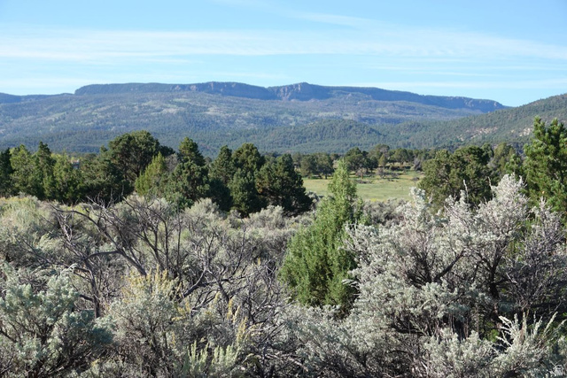 3600 S Teasdale Rd, Teasdale, UT 84773, photo 3