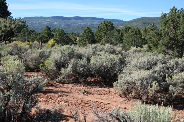 3600 S Teasdale Rd, Teasdale, UT 84773, photo 11