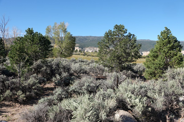 3600 S Teasdale Rd, Teasdale, UT 84773, photo 6
