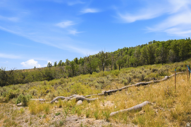 5369 Painted Valley Pass #25, Park City, UT 84098, photo 8