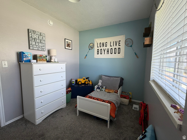 590 E 650 N, Richfield, UT 84701, photo 10