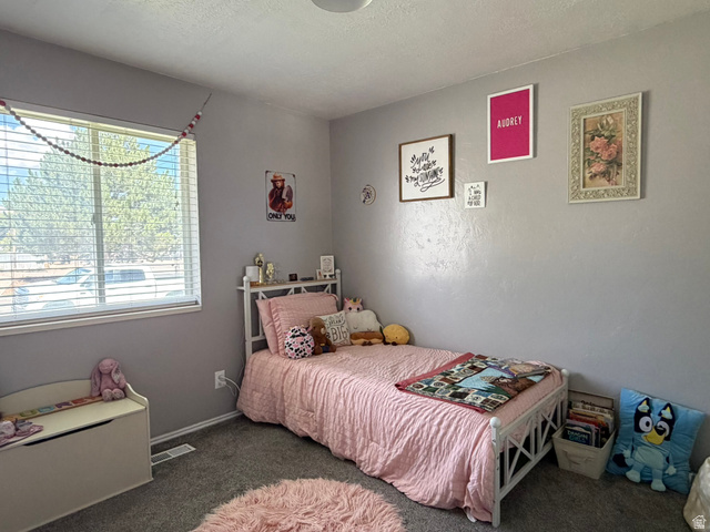 590 E 650 N, Richfield, UT 84701, photo 11