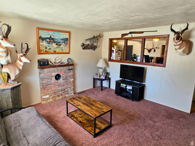 345 E 100 S, Richfield, UT 84701, photo 9