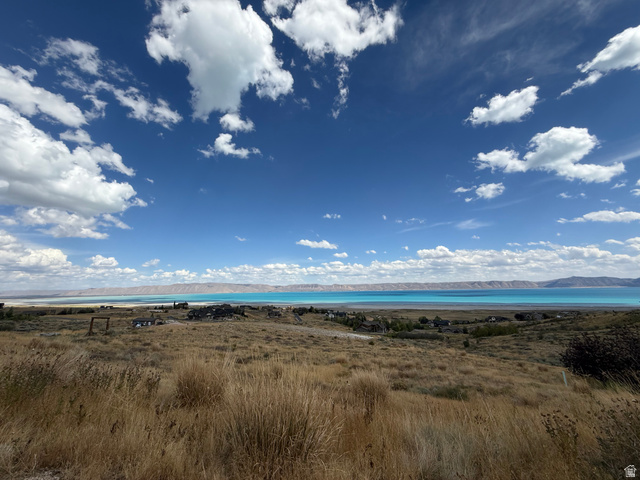 106 Hawksbeard Cir 49
