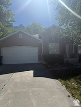 Main photo for 629 S Appaloosa Cir
