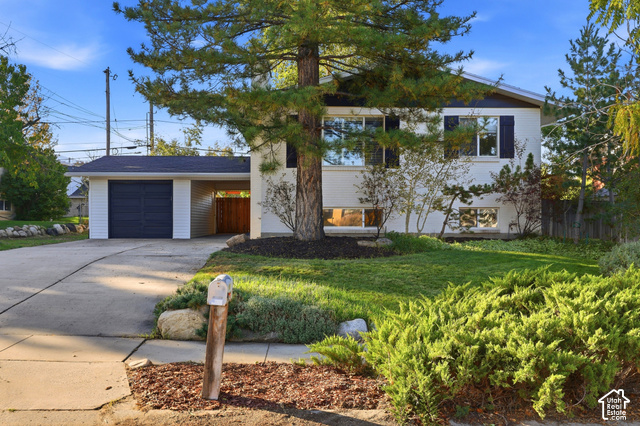 Main photo for 1520 E 7380 S