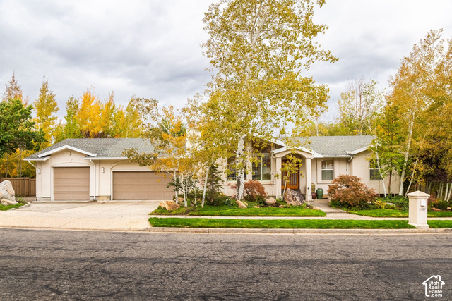 11528 S Summerfield Ln
                     MLS #2193203