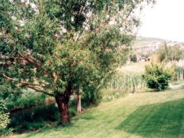 2925 Estates Cir, Park City, UT 84060 — photo 2