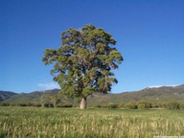9999 N 9999 E, Fairview, UT 84629 — photo 5