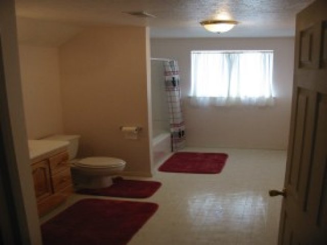 20 E 100 N, Mona, UT 84645 — photo 7