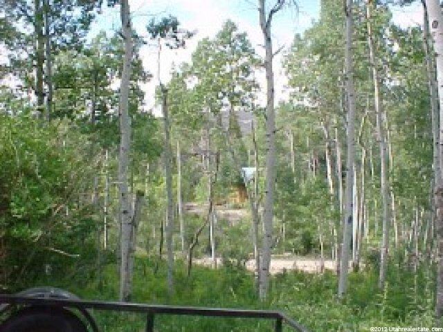 705 Spring Crk, Heber City, UT 84032 — photo 4