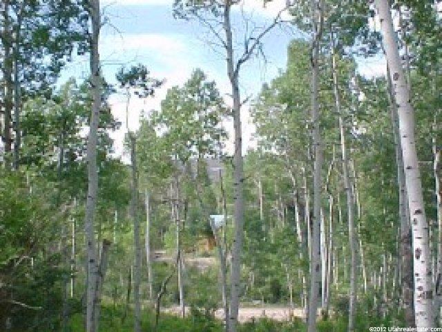 705 Spring Crk, Heber City, UT 84032 — photo 5