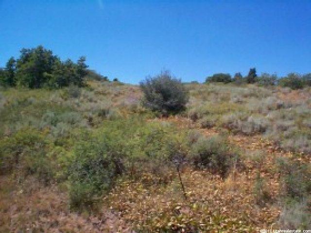 8041 Gambel Dr, Park City, UT 84098 — photo 3