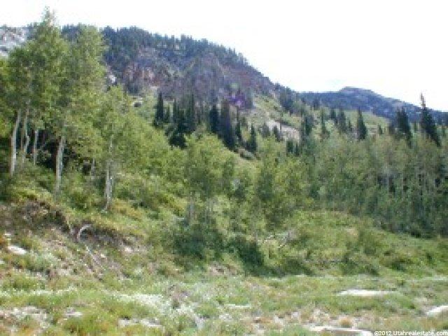 9798 E Sugar Plum Rd, Alta, UT 84092 — photo 6