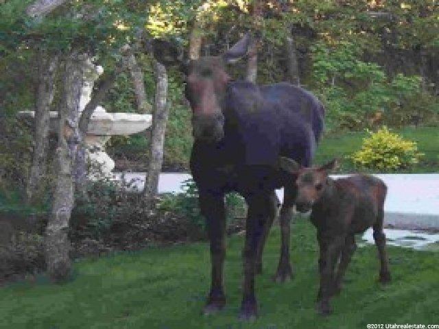 5735 Snowbasin Rd, Huntsville, UT 84317 — photo 6