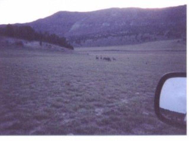 16 Mi, Salina, UT 84654 — photo 6