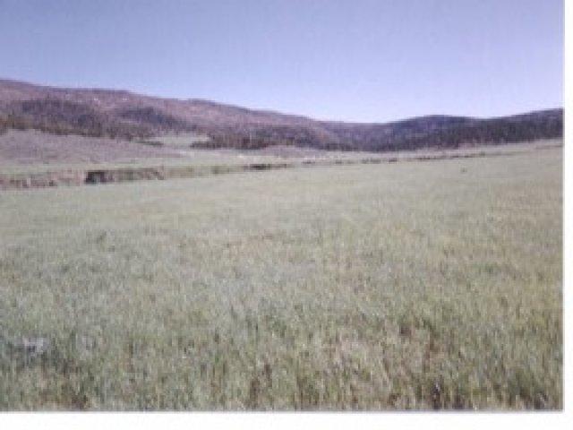 16 Mi, Salina, UT 84654 — photo 2