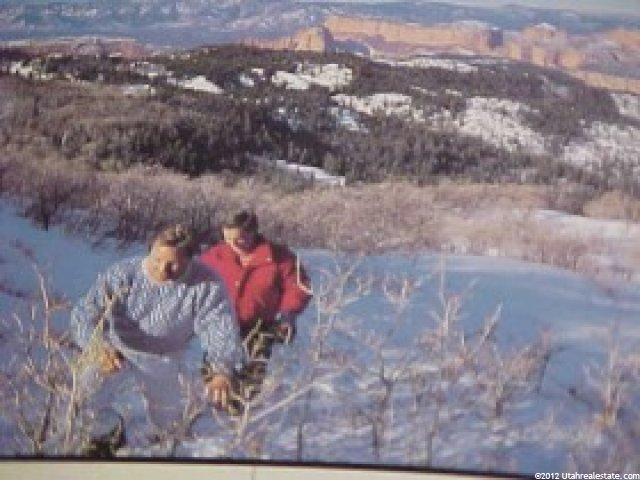 1063 W Kolob Mt Dr, Virgin, UT 84779 — photo 4