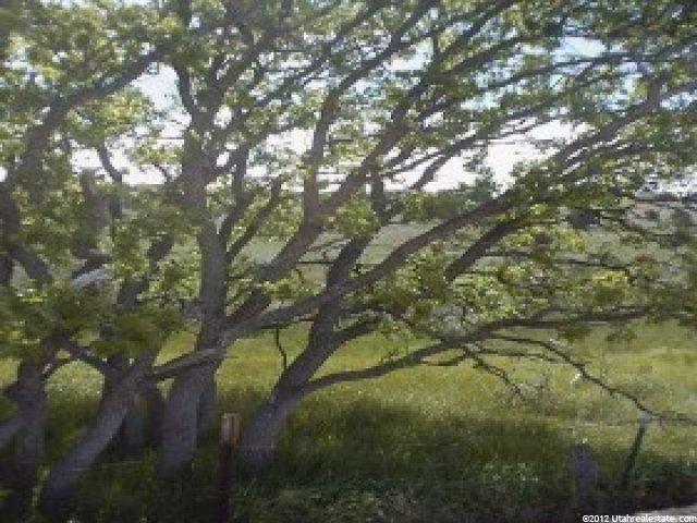 2400 E Center St, Heber City, UT 84032 — photo 3