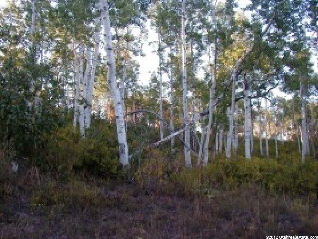 75 Navajo #75, Summit County, UT 84017 — photo 3