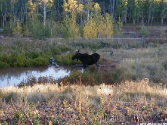 75 Navajo #75, Summit County, UT 84017 — photo 6