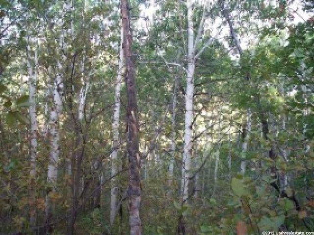 7128 Canyon Dr #91, Park City, UT 84098 — photo 4