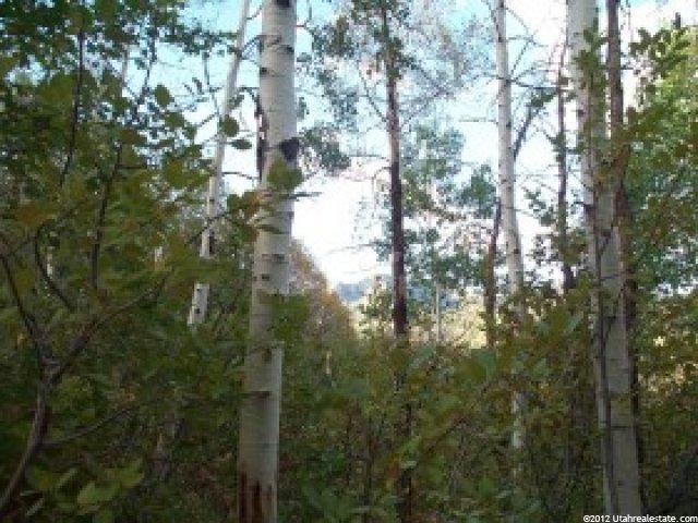 7128 Canyon Dr #91, Park City, UT 84098 — photo 5