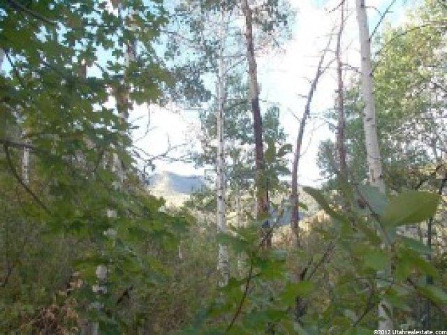 7128 Canyon Dr #91, Park City, UT 84098 — photo 6