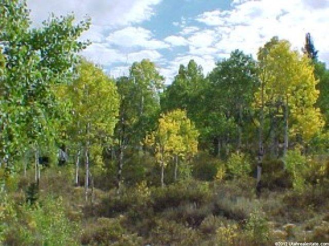 302 Pine Mtn, Oakley, UT 84055 — photo 5