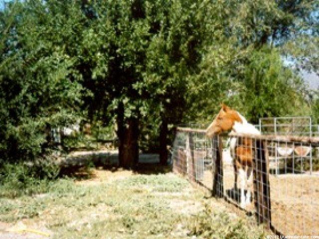 557 S 100 E, Nephi, UT 84648 — photo 2