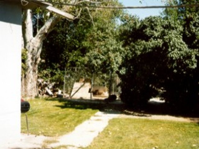 557 S 100 E, Nephi, UT 84648 — photo 4