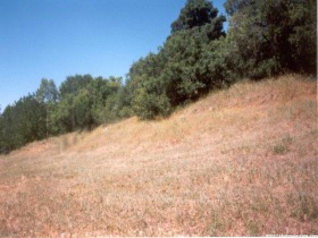2000 Combe Rd, Uintah, UT 84403 — photo 5