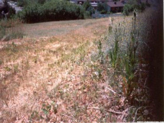 2000 Combe Rd, Uintah, UT 84403 — photo 6