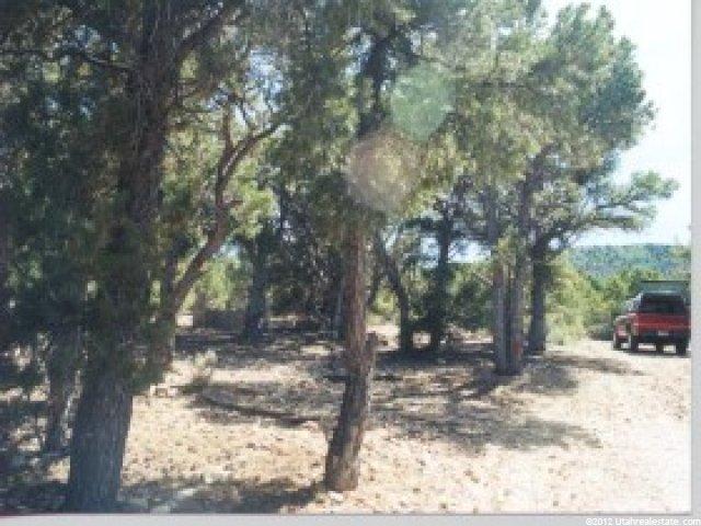 1003 Pinnion Loop #244, Tabiona, UT 84072 — photo 3