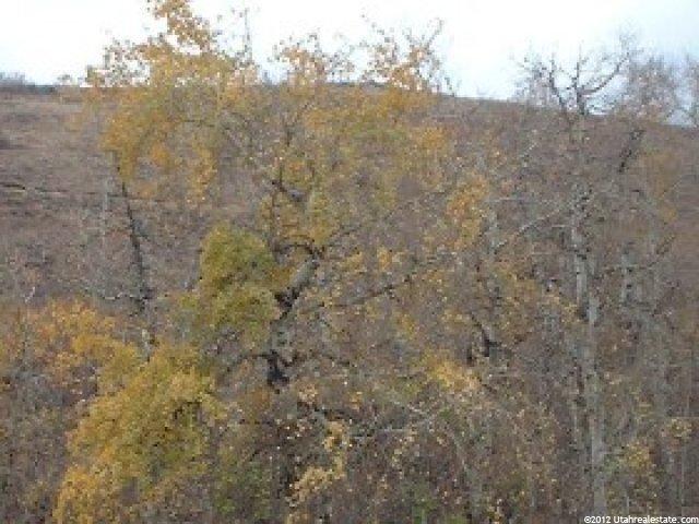 3 Lake Ridge #3, Paris, ID 83254 — photo 2