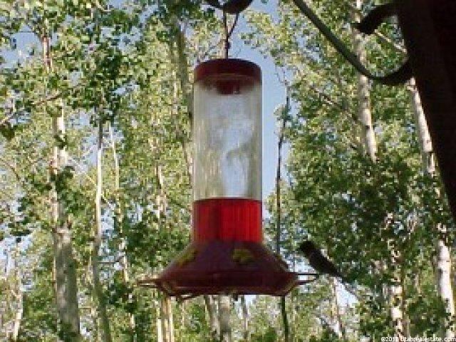 1869 Blue Spruce, Heber City, UT 84032 — photo 3