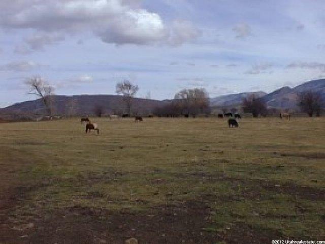 910 Wild Rose Dr #A-24, Francis, UT 84036 — photo 4
