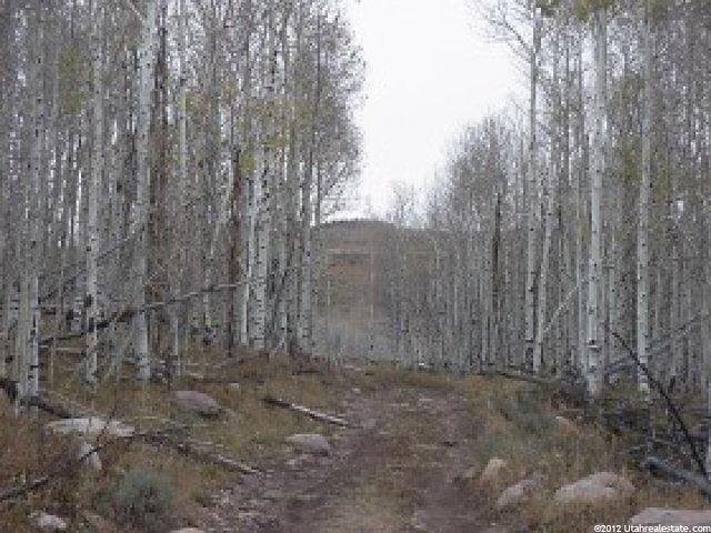 1 E Moon, Hanna, UT 84031 — photo 4